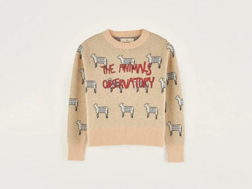 Pull Col Rond Grebe