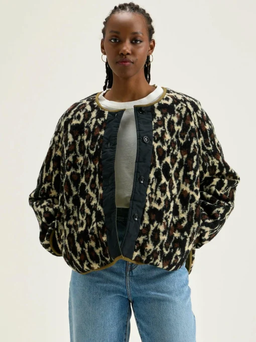 Veste Hari
